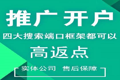 竞价排名与内容营销的结合案例